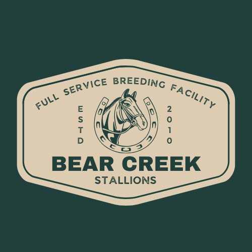 Bear Creek Stallions